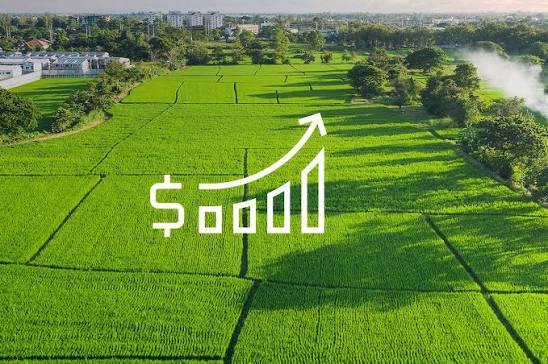 Profitable Real Estate Asset